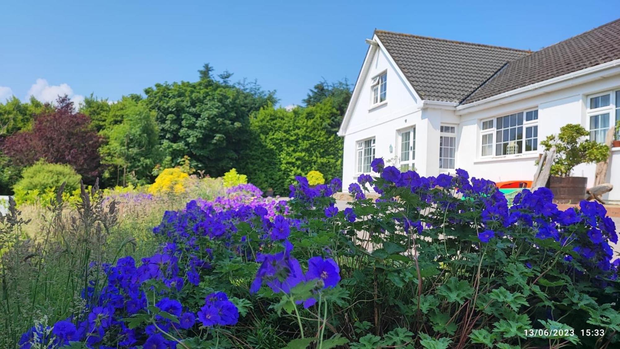 Happy Hill Youghal Exterior foto